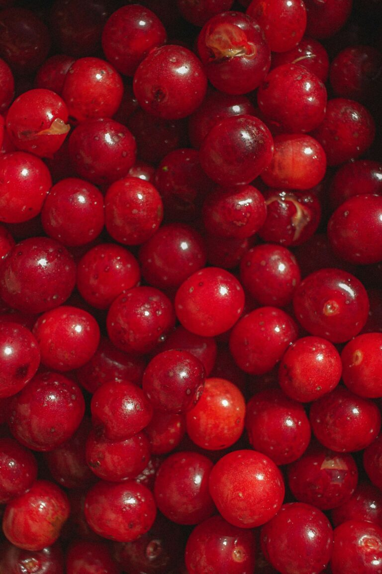 5-Minute Cherry Desserts You’ll Love